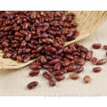 Kidney Beans Gluten Free